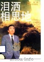 泪洒相思地（1991 PDF版）