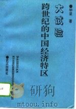 大实验  跨世纪的中国经济特区（1995 PDF版）