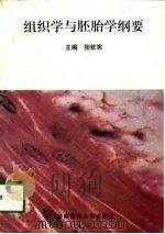 组织学与胚胎学纲要（1998 PDF版）
