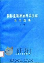 国际重质原油开采会议论文选集  下（1988 PDF版）