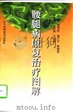 腰腿病康复治疗图解（1998 PDF版）
