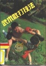武术散打技法（1987 PDF版）