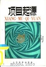 项目起源（1987 PDF版）