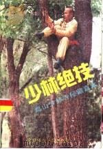 正宗少林绝技（1990 PDF版）