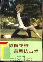 五势梅花桩实用技击术 1990 PDF电子版封面 7810033867 韩建中编著