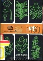 叶（1978 PDF版）