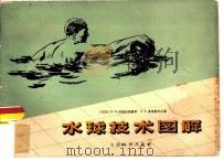 水球技术图解（1957 PDF版）