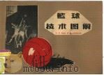篮球技术图解（1955 PDF版）