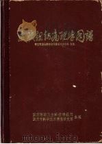 皮肤组织病理学图谱（1977 PDF版）