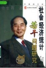 社会经济统计若干问题研究（1998 PDF版）
