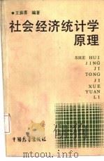 社会经济统计学原理（1988 PDF版）