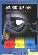 体育绘图（1998 PDF版）