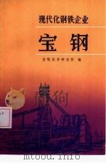 现代化钢铁企业  宝钢（ PDF版）