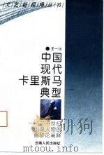 中国现代卡里斯马典型 二十世纪小说人物的修辞论阐释 1994 PDF电子版封面 722201683X 王一川著