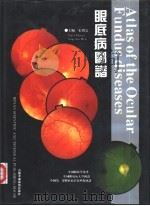 眼底病图谱（1995 PDF版）