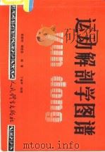 运动解剖学图谱（1986 PDF版）