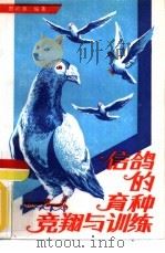 信鸽的育种竞翔与训练（1988 PDF版）