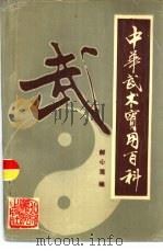 中华武术实用百科（1991 PDF版）