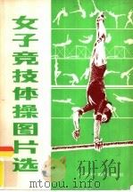 排球（1990 PDF版）