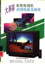 大屏幕彩色电视机原理电路及维修（1995 PDF版）