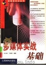 多媒体实战基础（1999 PDF版）
