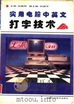 实用电脑中英文打字技术（1993 PDF版）