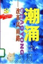 潮涌  改革风雨路（1998 PDF版）