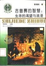 吉普赛的智慧  生存的渴望与浪漫（1993 PDF版）