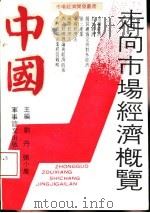 中国走向市场经济概览（1992 PDF版）