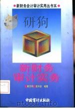 新财务审计实务（1993 PDF版）