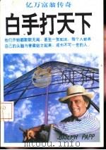 白手打天下  亿万富翁传奇（1994 PDF版）