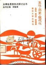 文化·历史·现代化（1994 PDF版）