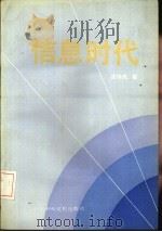 信息时代（1994 PDF版）