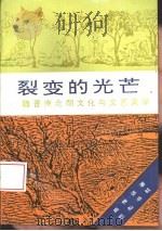 裂变的光芒  魏晋南北朝文化与文艺美学（1995 PDF版）