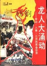龙人大涌动  劳动、人事、工资改革备忘录（1993 PDF版）