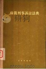 苏俄刑事诉讼法典（1955 PDF版）