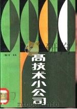 高技术小公司（1988 PDF版）