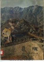 The Great Wall   1980  PDF电子版封面  8068·844  郁进编 