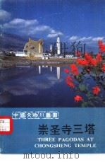 崇圣寺三塔（1984 PDF版）