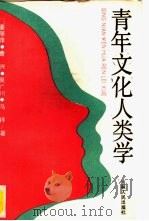 青年文化人类学（1990 PDF版）