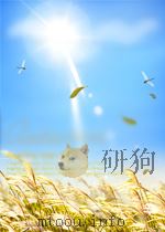 当代音乐教育理论与方法简介（1999 PDF版）
