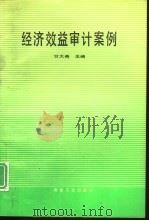 经济效益审计案例（1991 PDF版）