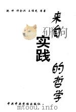 来自实践的哲学（1998 PDF版）