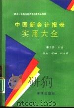 中国新会计报表实用大全（1994 PDF版）
