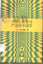 中国工业化与产业技术进步（1992 PDF版）