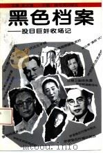 黑色档案  投日巨奸收场记（1995 PDF版）
