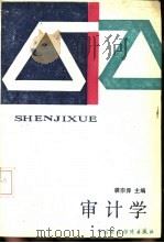 审计学（1989 PDF版）