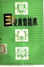 三麦栽培技术（1978 PDF版）