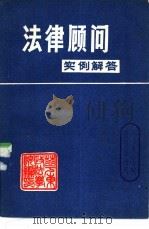 法律顾问  实例解答（ PDF版）