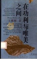 在功利与唯美之间（1996 PDF版）